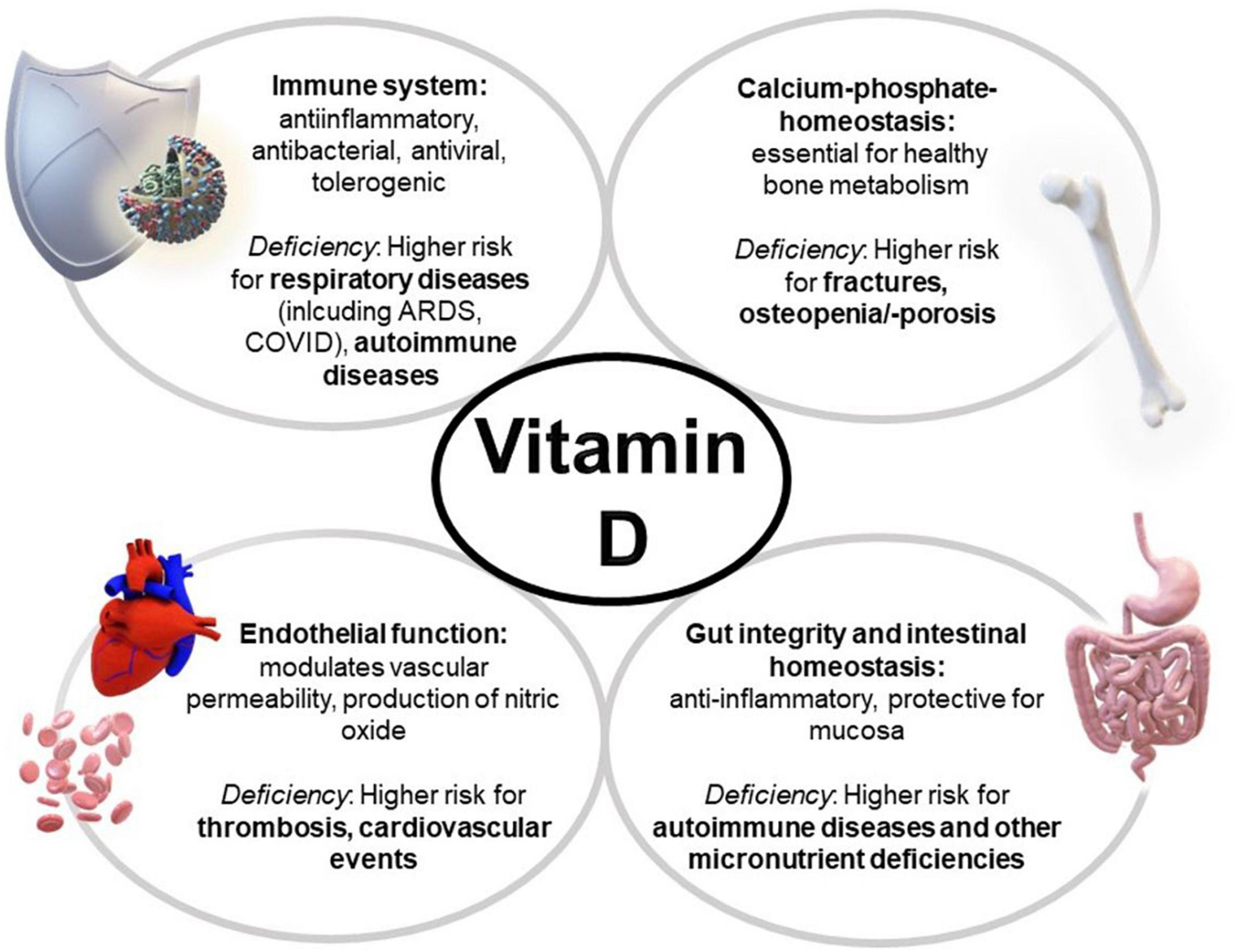 An update of the effects of vitamins D and C in critical illness